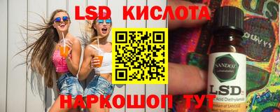 ALPHA PVP Камышлов