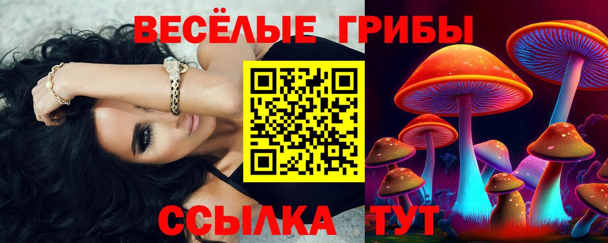 Псилоцибиновые грибы GOLDEN TEACHER Краснокаменск