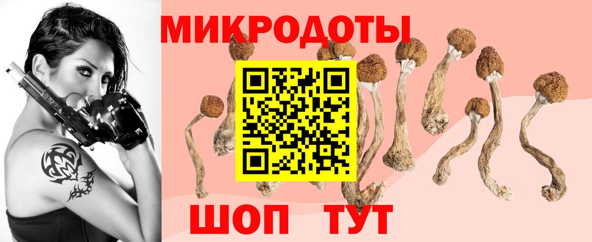 Краснокаменск  Галлюциногенные грибы Magic Shrooms  Вход с VPN  Псилоцибиновые грибы прущие грибы 